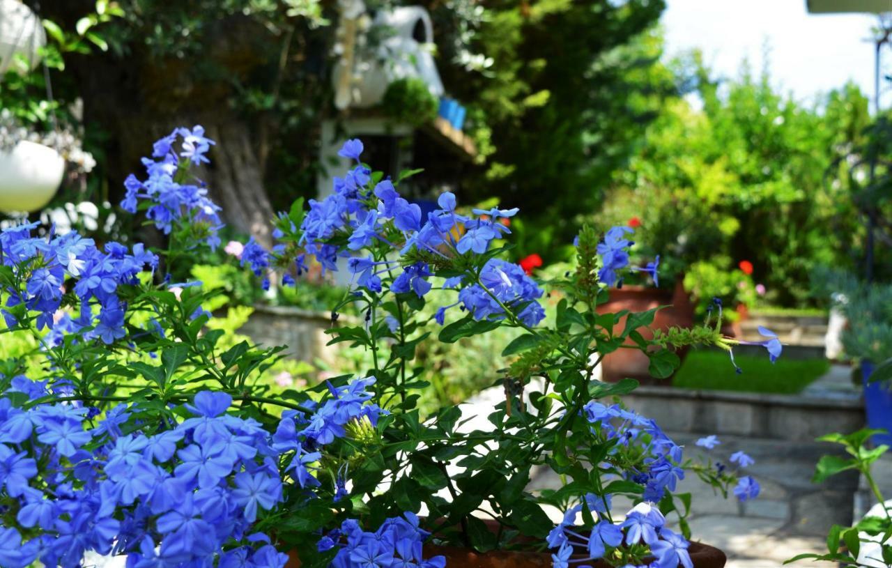 Sonia'S House With Garden Villa Gerakini Luaran gambar